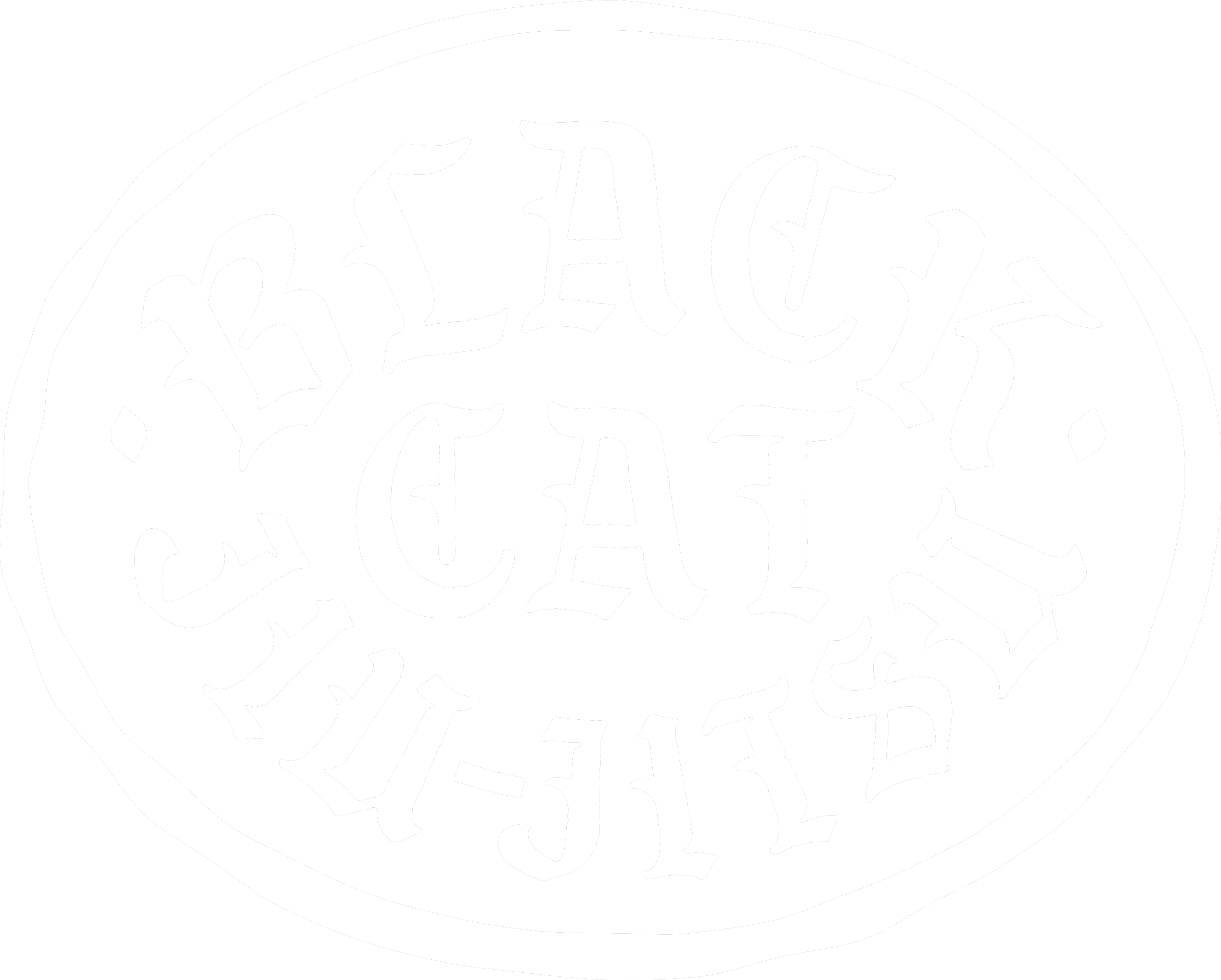 Black Cat Jiu Jitsu