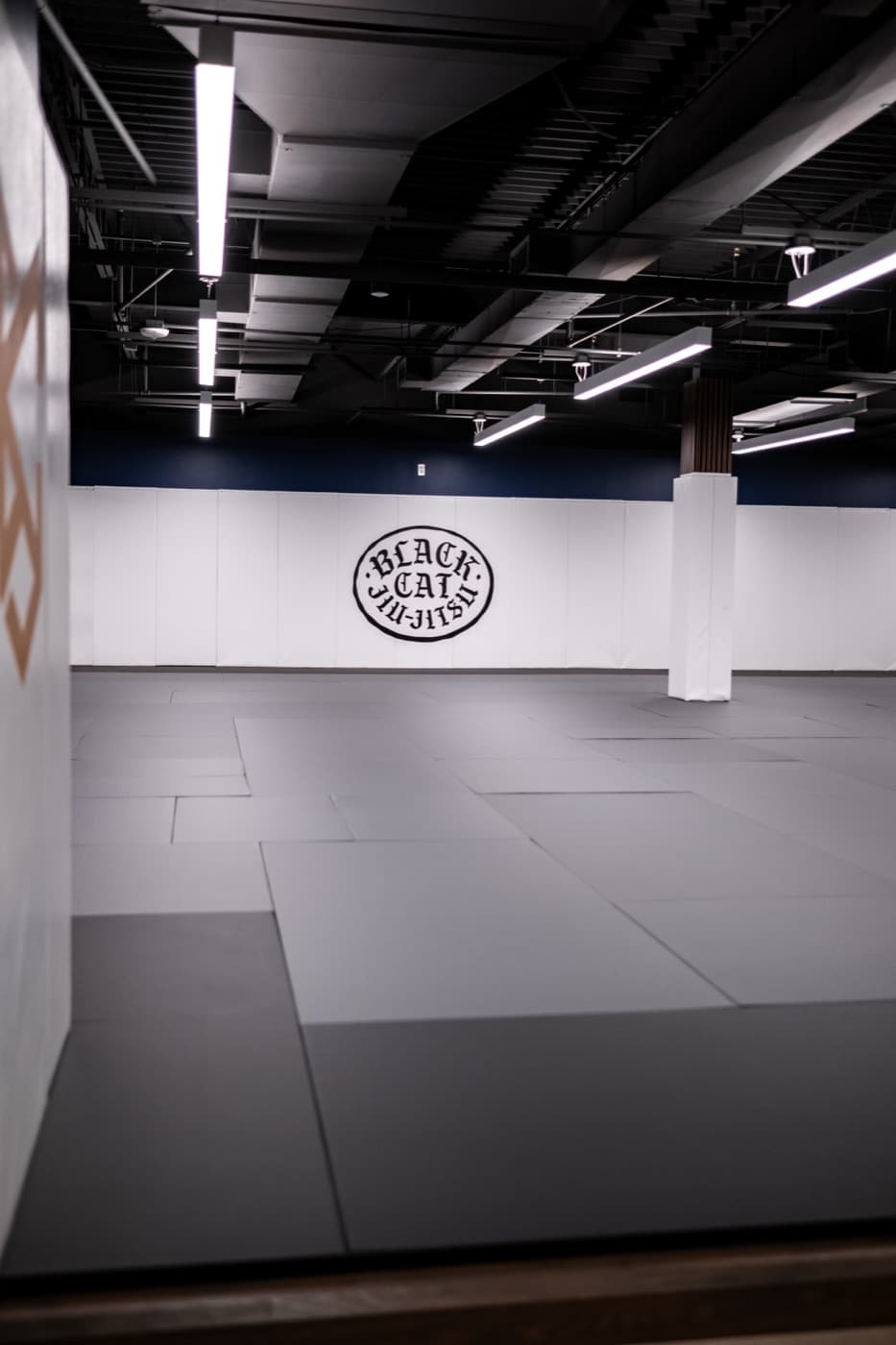 Brazilian jiu jitsu training at Black Cat, near Burke, VA.